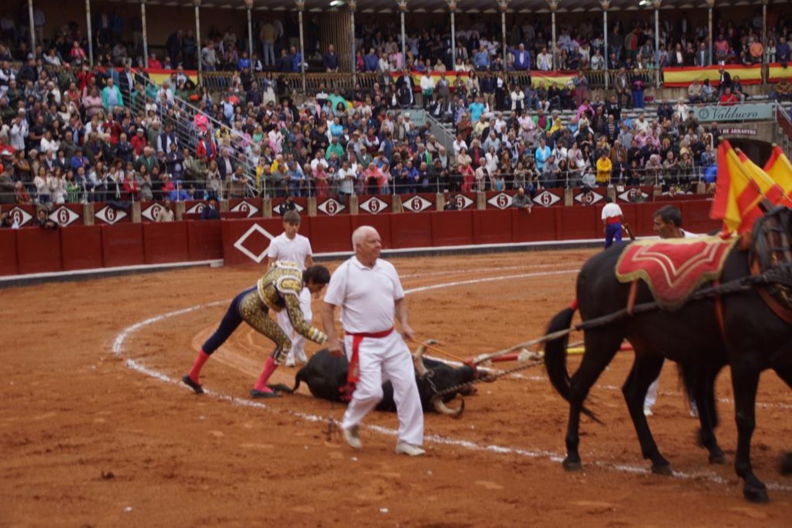 tendidos-de-la-glorieta-durante-la-corrida-de-garcia-y-olga-jimenez-90