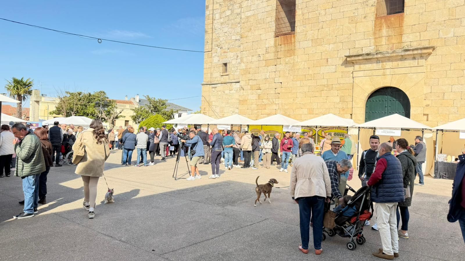 Día del Almendro en La fregeneda