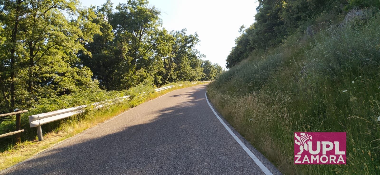 Denuncian como la presencia de maleza en la ZA-103 pone en peligro a los conductores en Sanabria