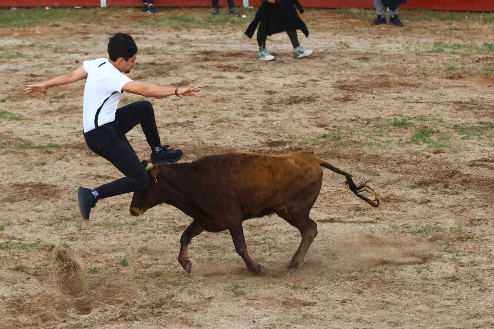 Grand Prix y Capea en Doñinos