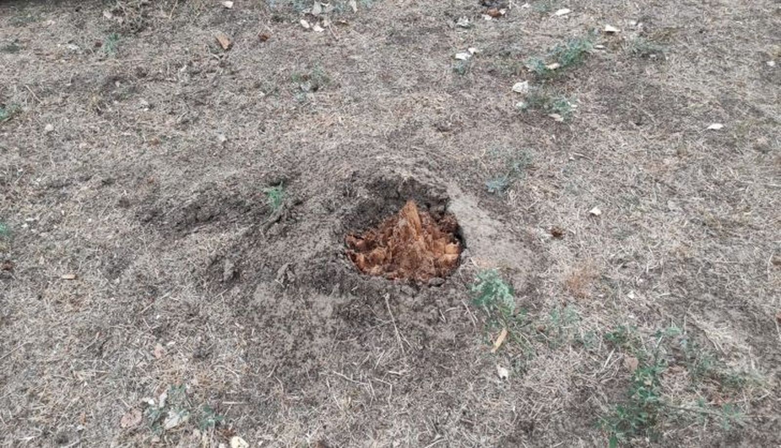 Lápiz arrancado en Santa Marta