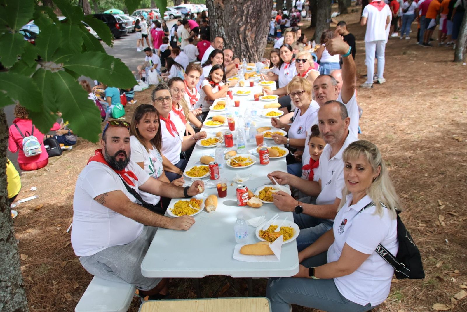 20230907142628-img-8816