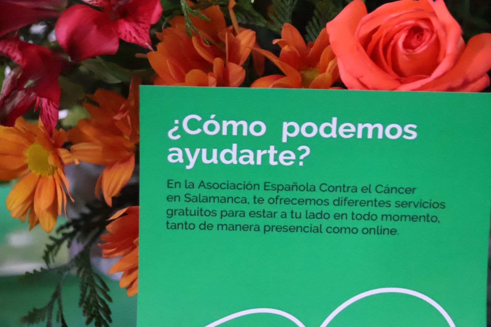 Cuestación Día contra el Cáncer