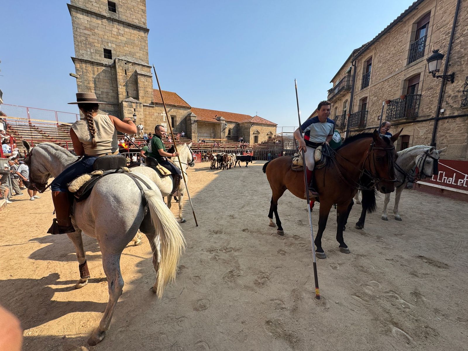 Encierro de bueyes en Aldeadávila de la Ribera para enseñarles el camino para los encierros en sus fiestas 2025