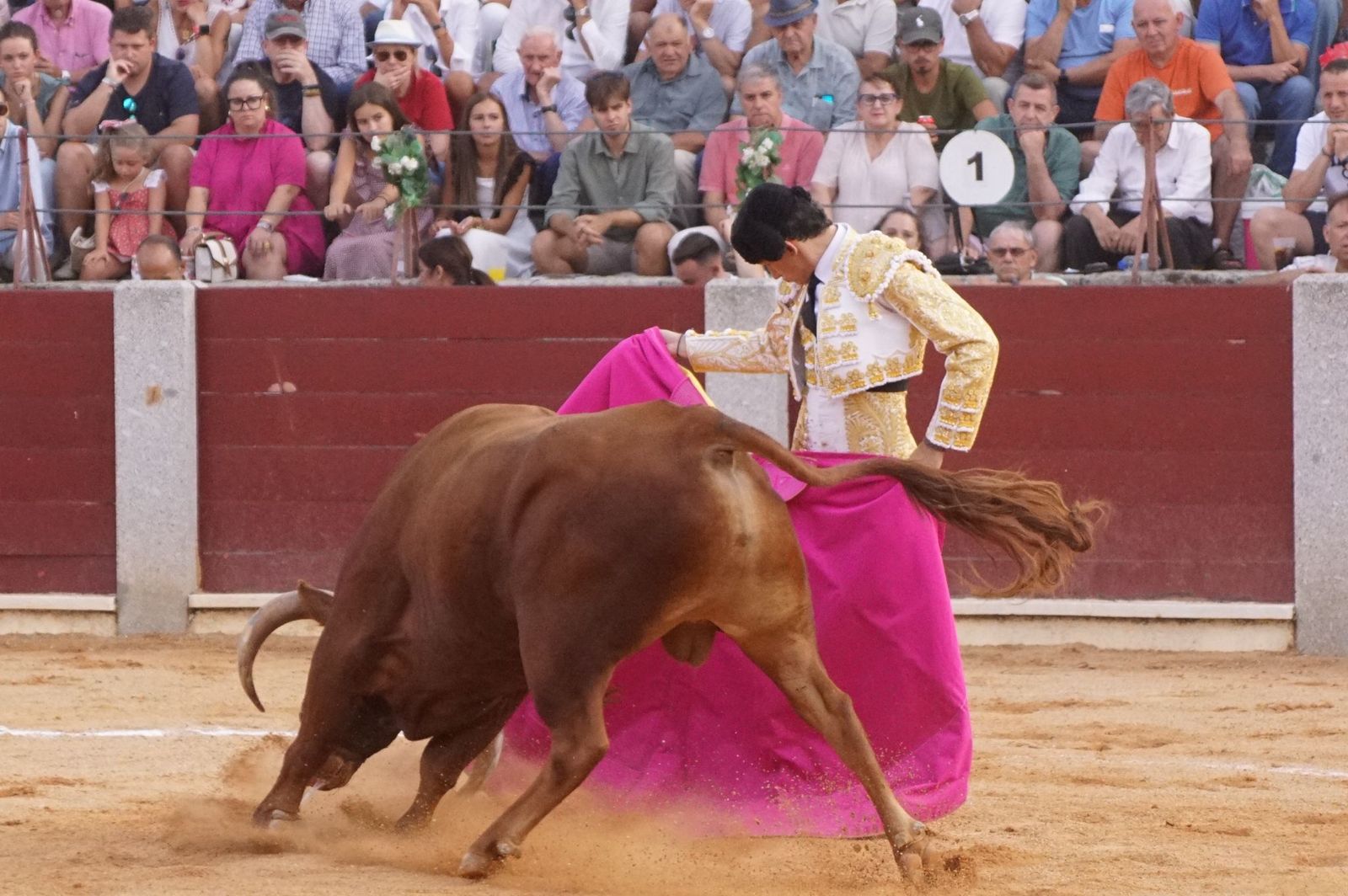 Novillada mixta en picadores en Guijuelo, 17 de agosto