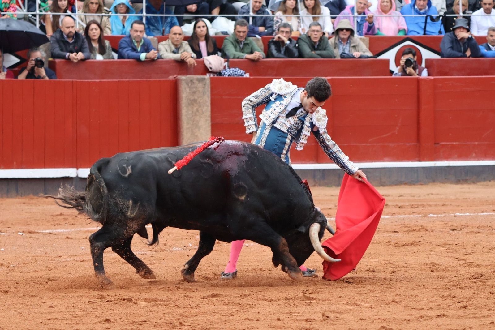 20230916175910-img-5411