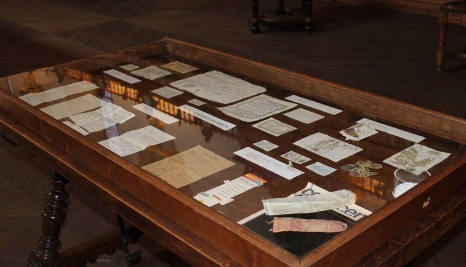 La vitrina de la Biblioteca Histórica de la USAL con las serendipias expuestas. La vitrina de la Biblioteca Histórica de la USAL con las serendipias expuestas.