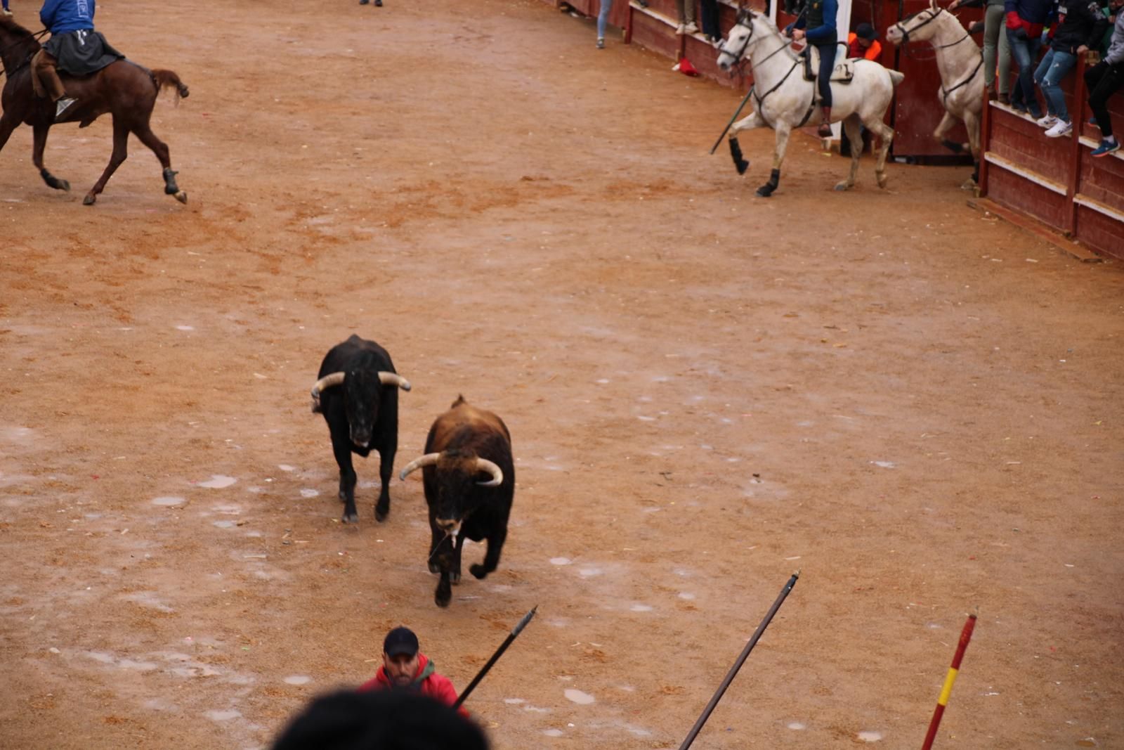 whatsapp-image-2024-02-11-at-11-41-49-11