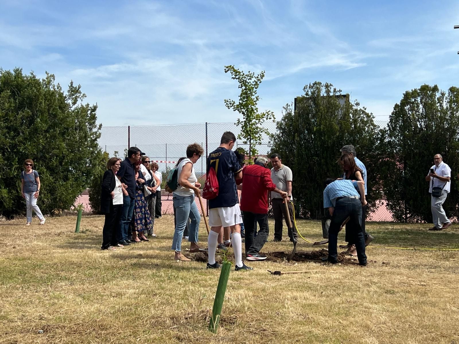 whatsapp-image-2024-06-05-at-17-37-40-6