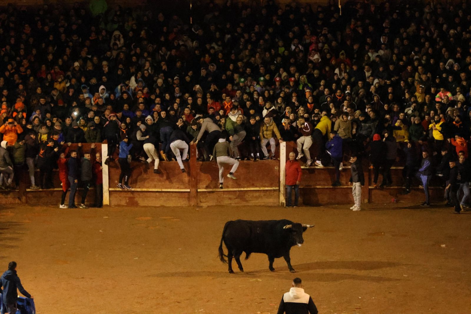 Capea Nocturna del Viernes en Ciudad Rodrigo