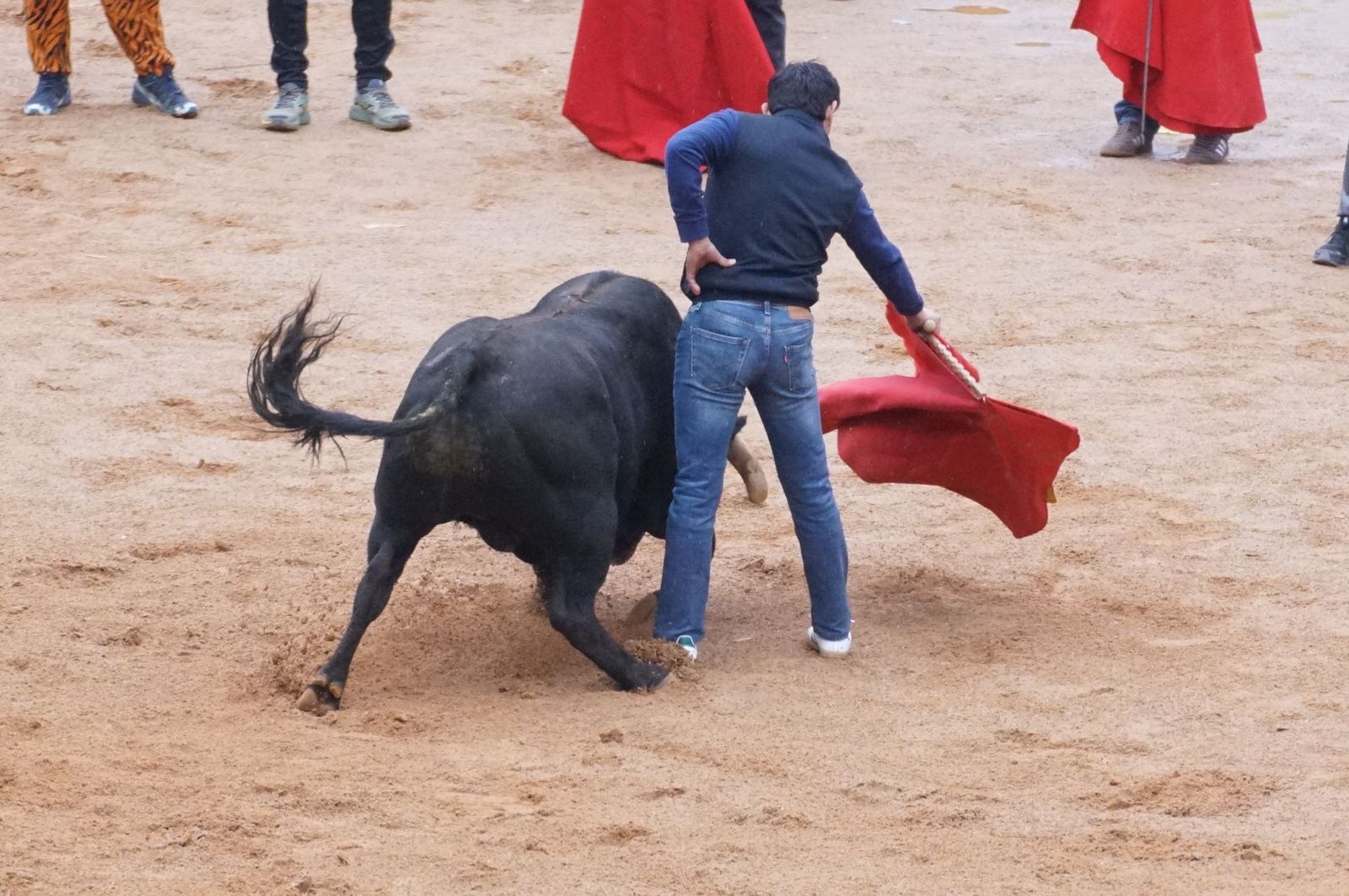 whatsapp-image-2025-03-03-at-14-50-08-3