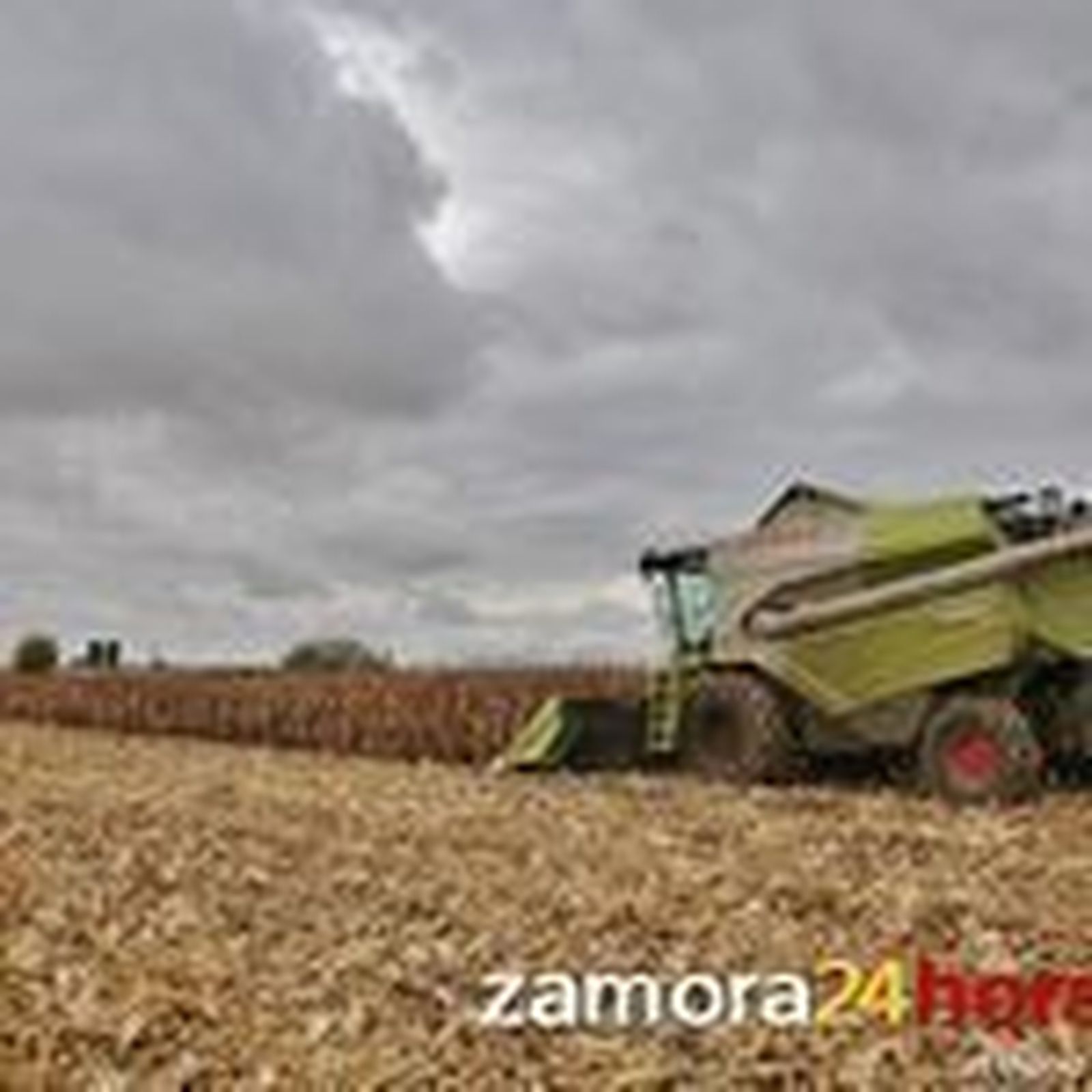 UPA-COAG reclama a la Junta al menos 20 días naturales para poder acogerse a las ayudas ecológicas