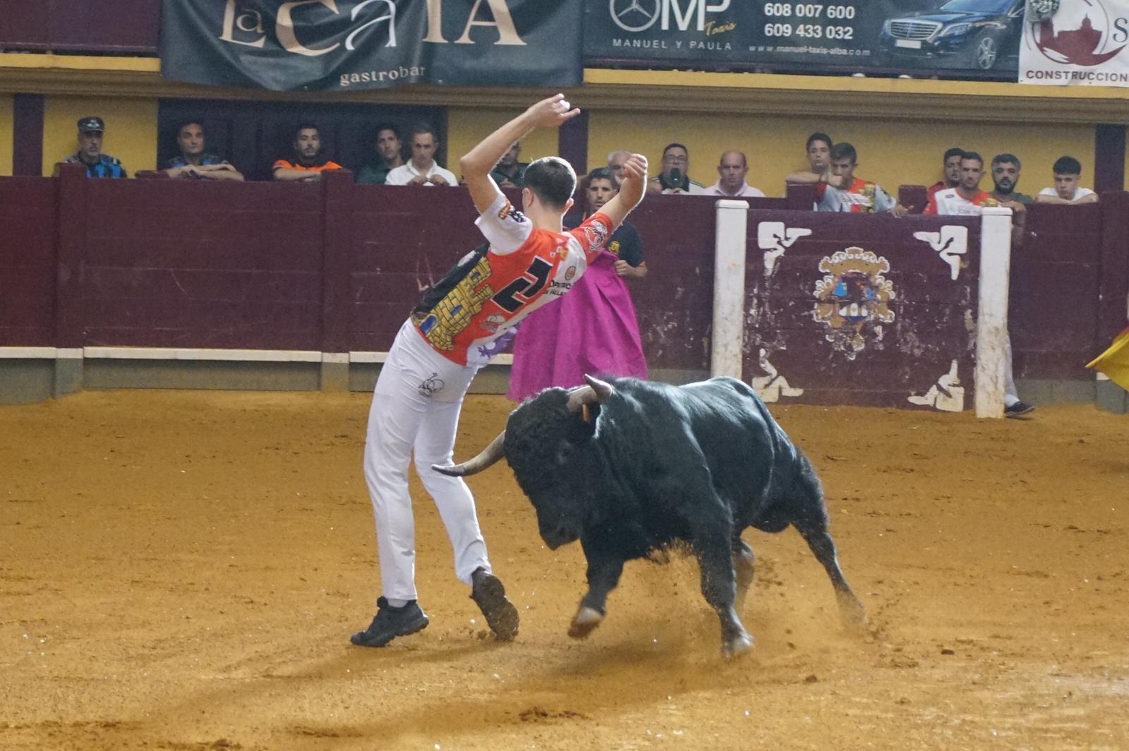 Alba de Tormes celebra un nuevo concurso de cortes