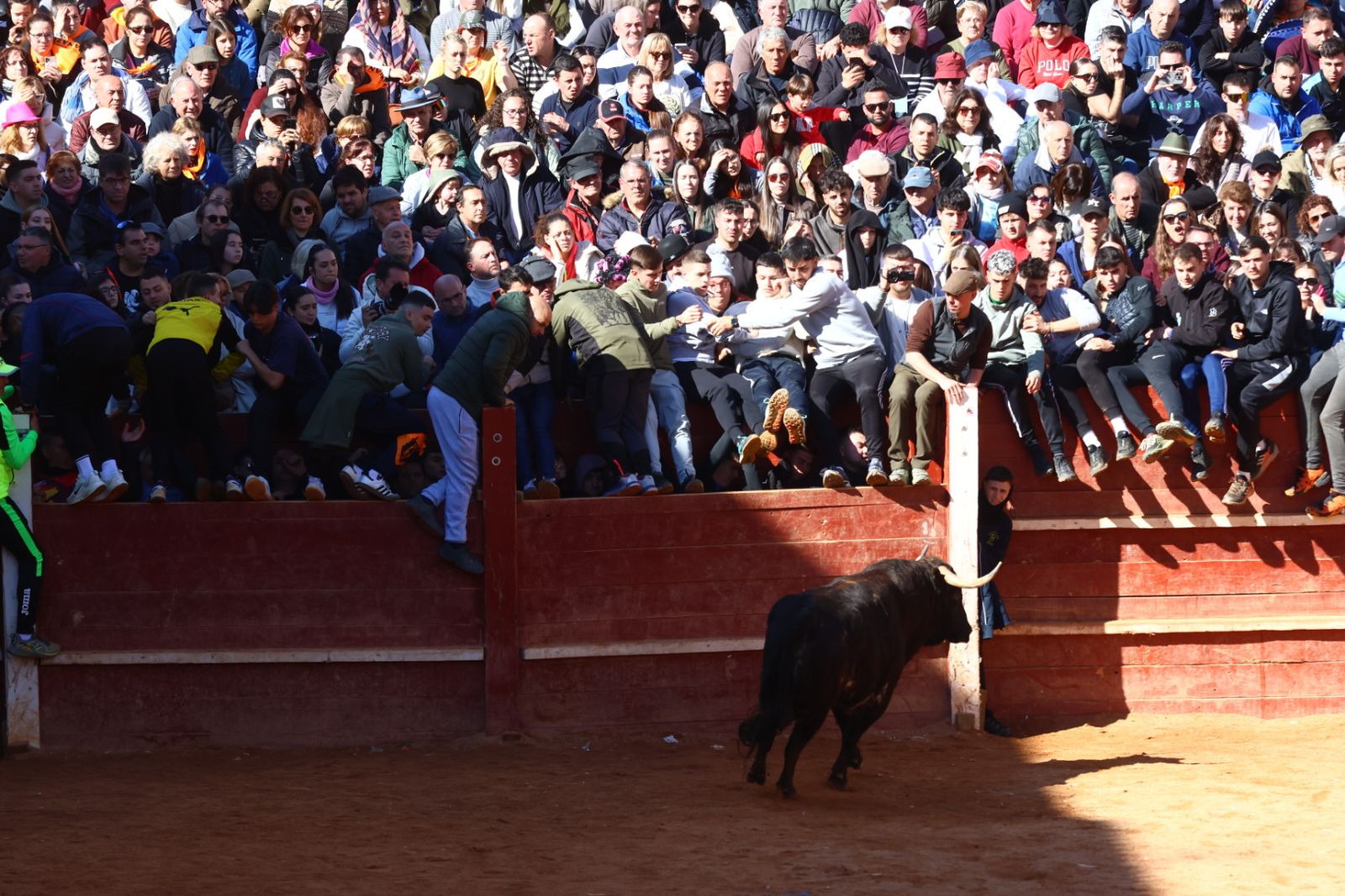Capea de mañana en el martes del Carnaval del Toro de Ciudad Rodrigo