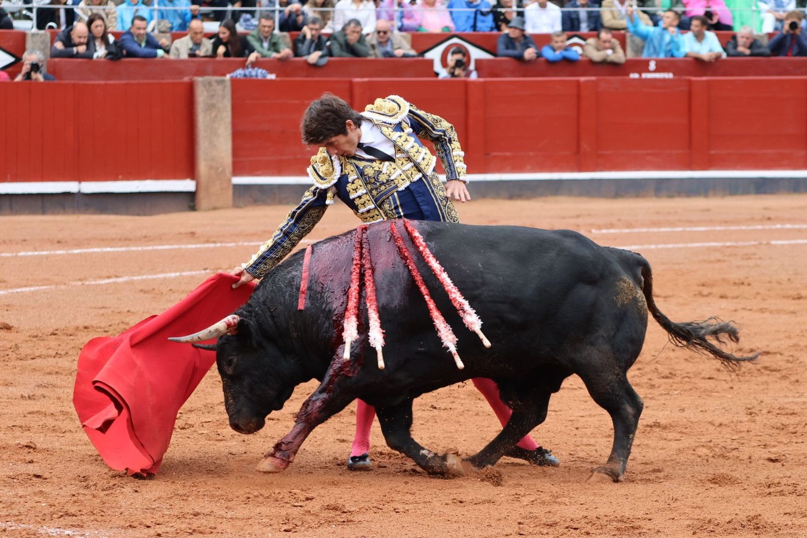 20230916172047-img-5246