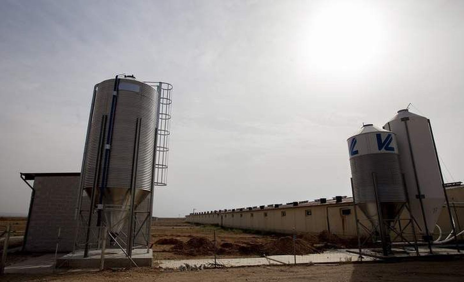 La Junta promociona el uso de la biomasa forestal en el sector ganadero