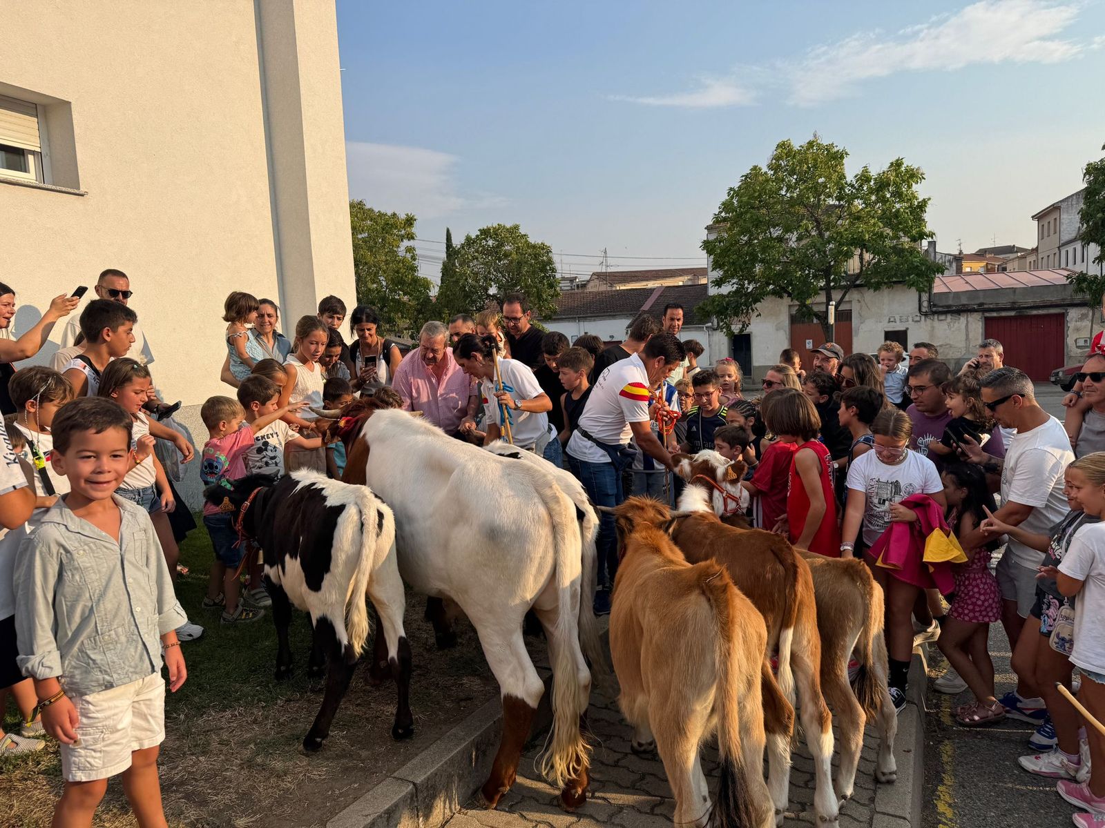 Encierro infantil de Mini Bueyes en Guijuelo durante sus fiestas 2025