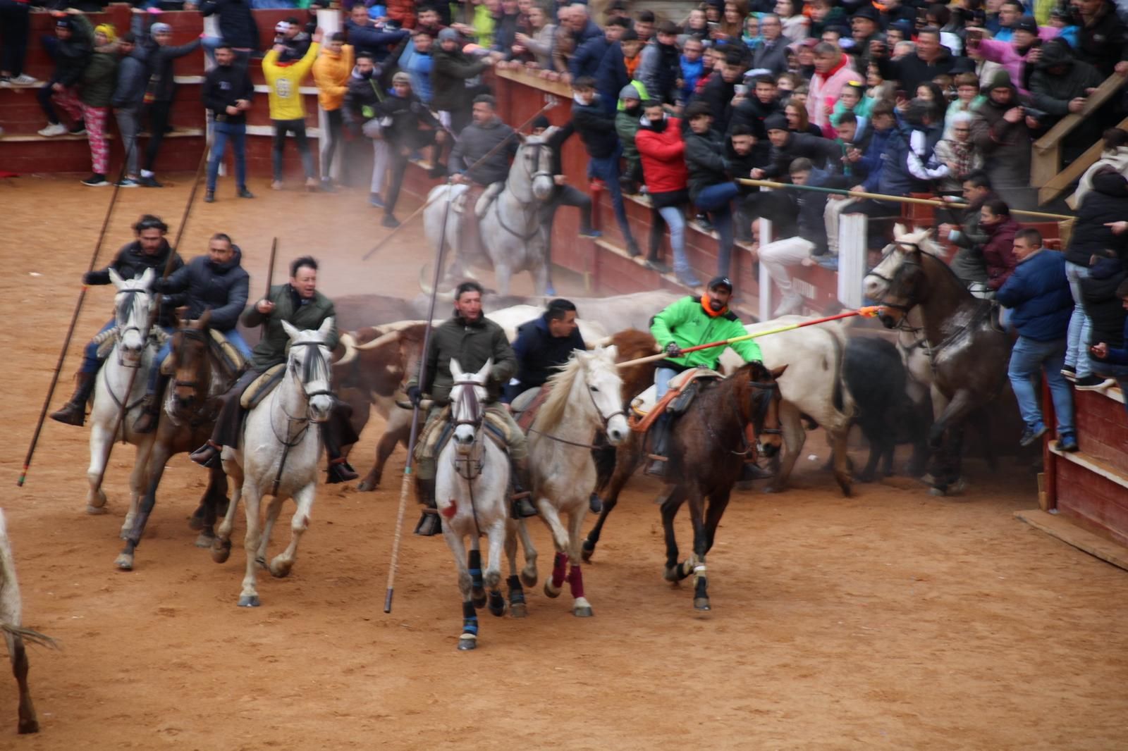 Encierro a caballo Carnaval del Toro 2025 Ciudad Rodrigo