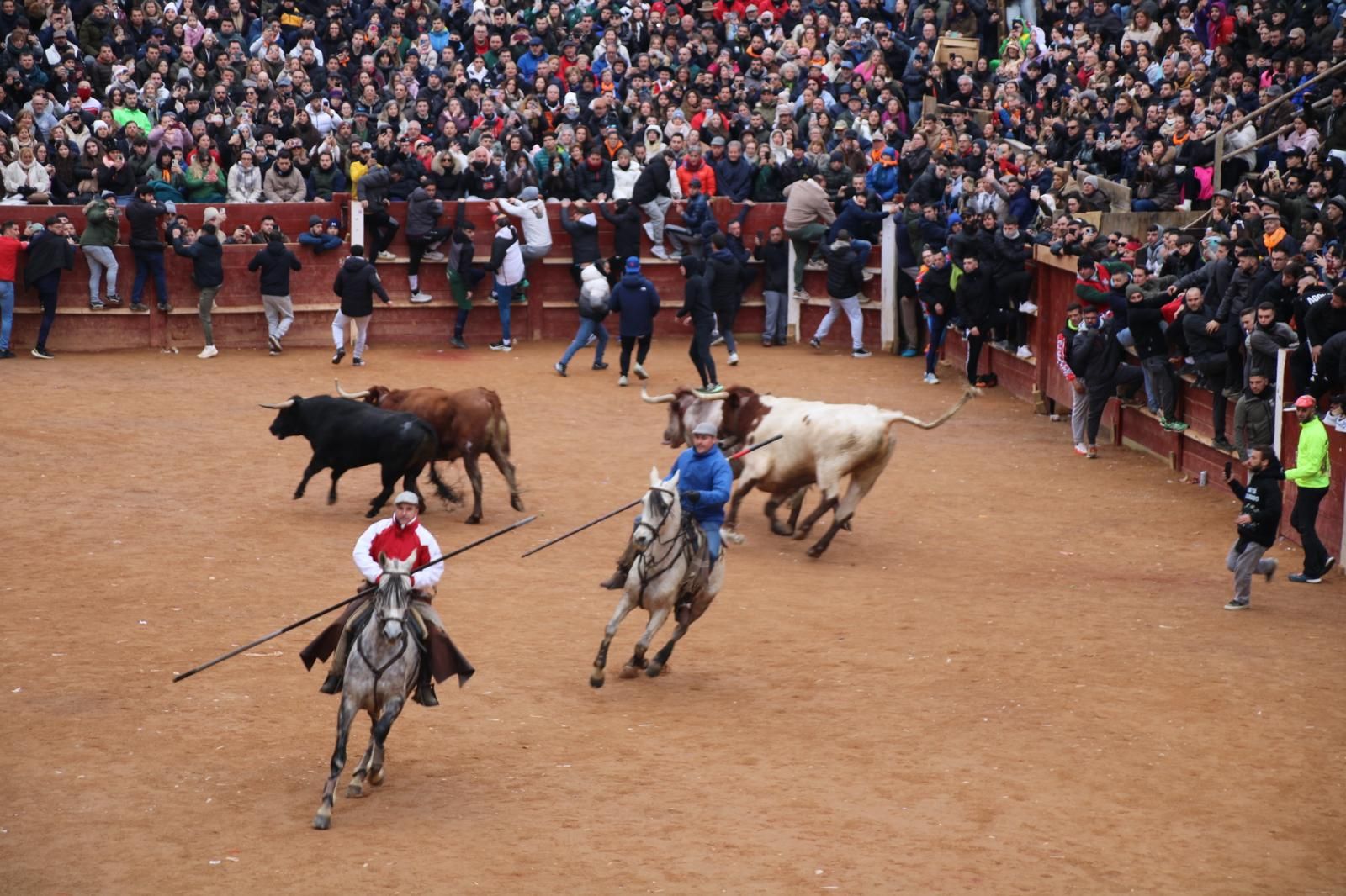 Encierro a Caballo en el Carnaval del Toro 2026 de Ciudad Rodrigo