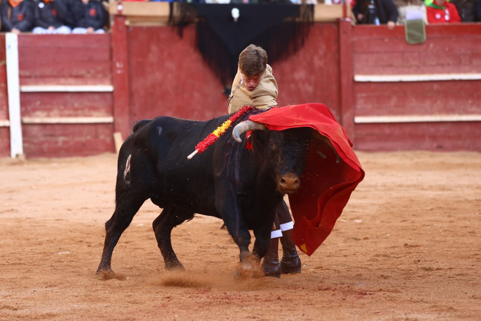 Festival del martes en el Carnaval del Toro 2026