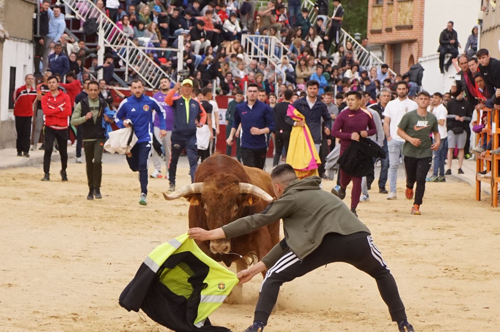 Villoria, toro del Voto