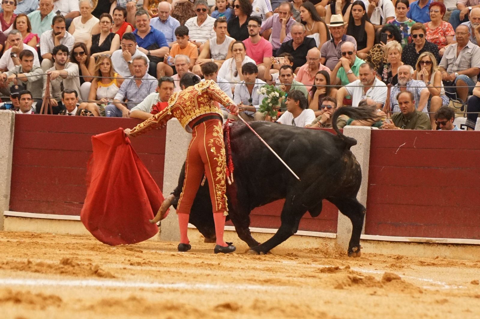 Javier Castaño se despide de Guijuelo y Damián Castaño, su hermano, e Ismael Martín salen a hombros en Guijuelo