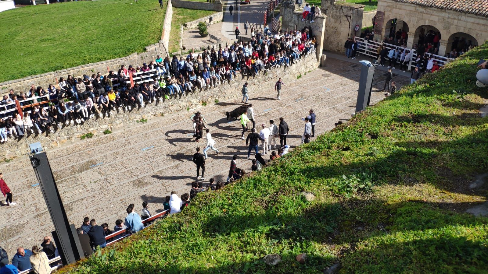 ambiente-con-la-suelta-de-vaquillas-en-el-domingo-de-pinata-en-ciudad-rodrigo-7