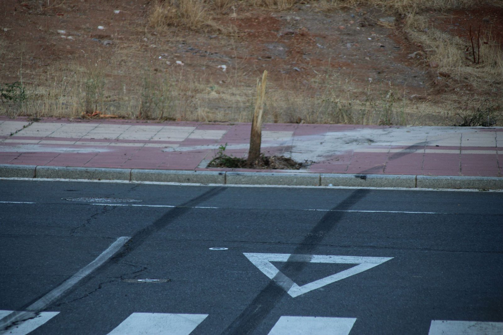 arranca-un-arbol-tras-hacer-un-recto-en-la-calle-victoria-al-circular-a-gran-velocidad-y-abandona-su-vehiculo-en-el-lugar-5