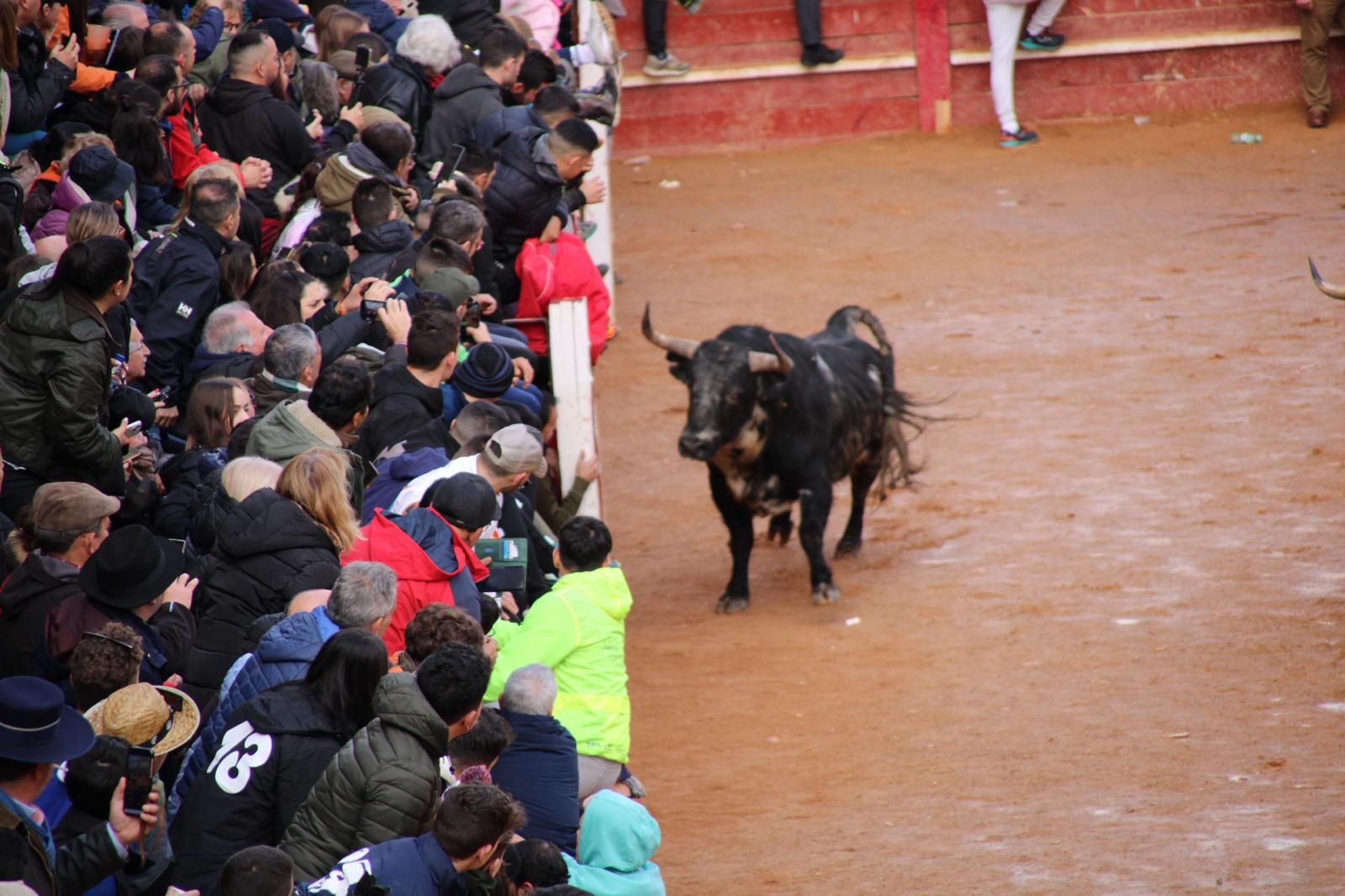 encierro-del-martes-de-carnaval-en-ciudad-rodrigo-11