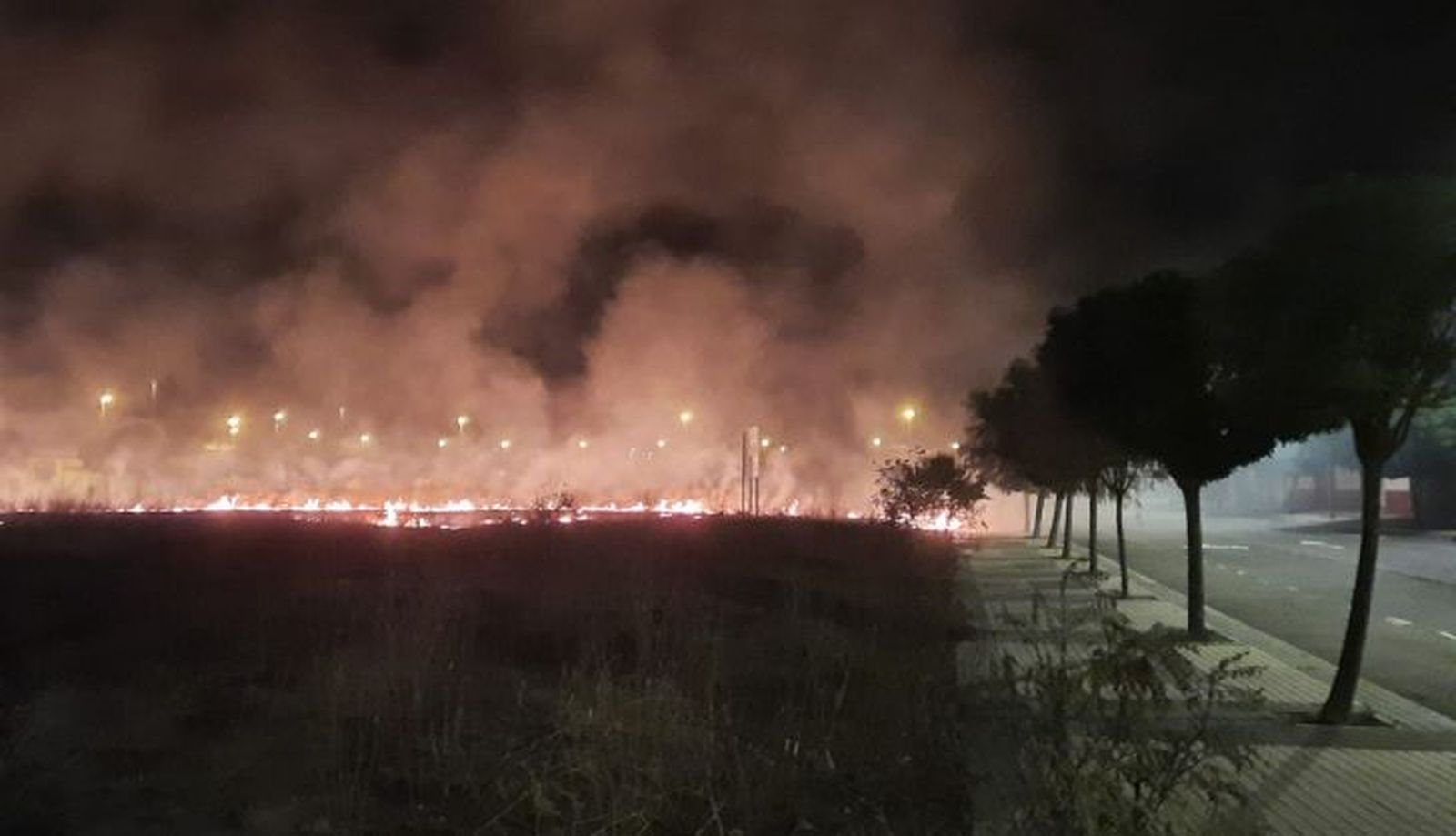 WhatsApp Image 2022 08 03 at 11.34.36 PM