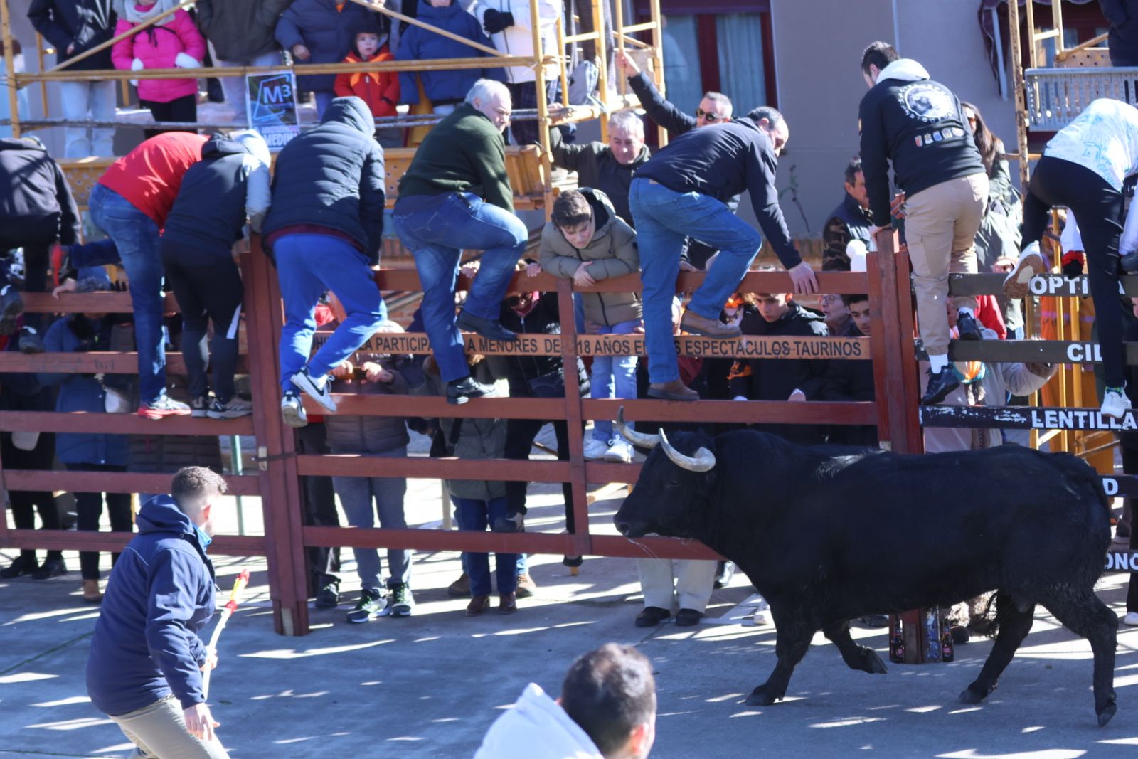 Toro del Antruejo 2026 en el Carnaval del Toro de Ciudad Rodrigo