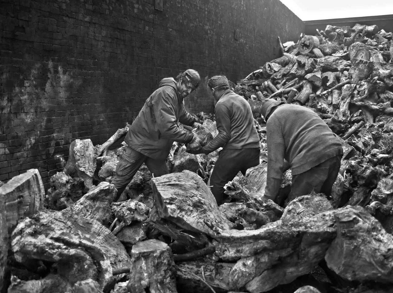 Imagen galardonada con el primer premio