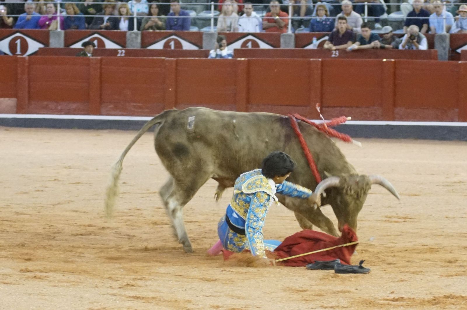 Clase práctica con alumnos de la Escuela de Tauromaquia de Salamanca (Diego Mateos, Noel García y Álvaro Rojo con erales de Esteban Isidro)