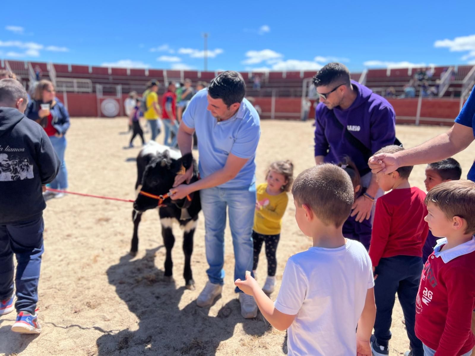 mini-bueyes-en-elas-fiestas-de-doninos-2025-33