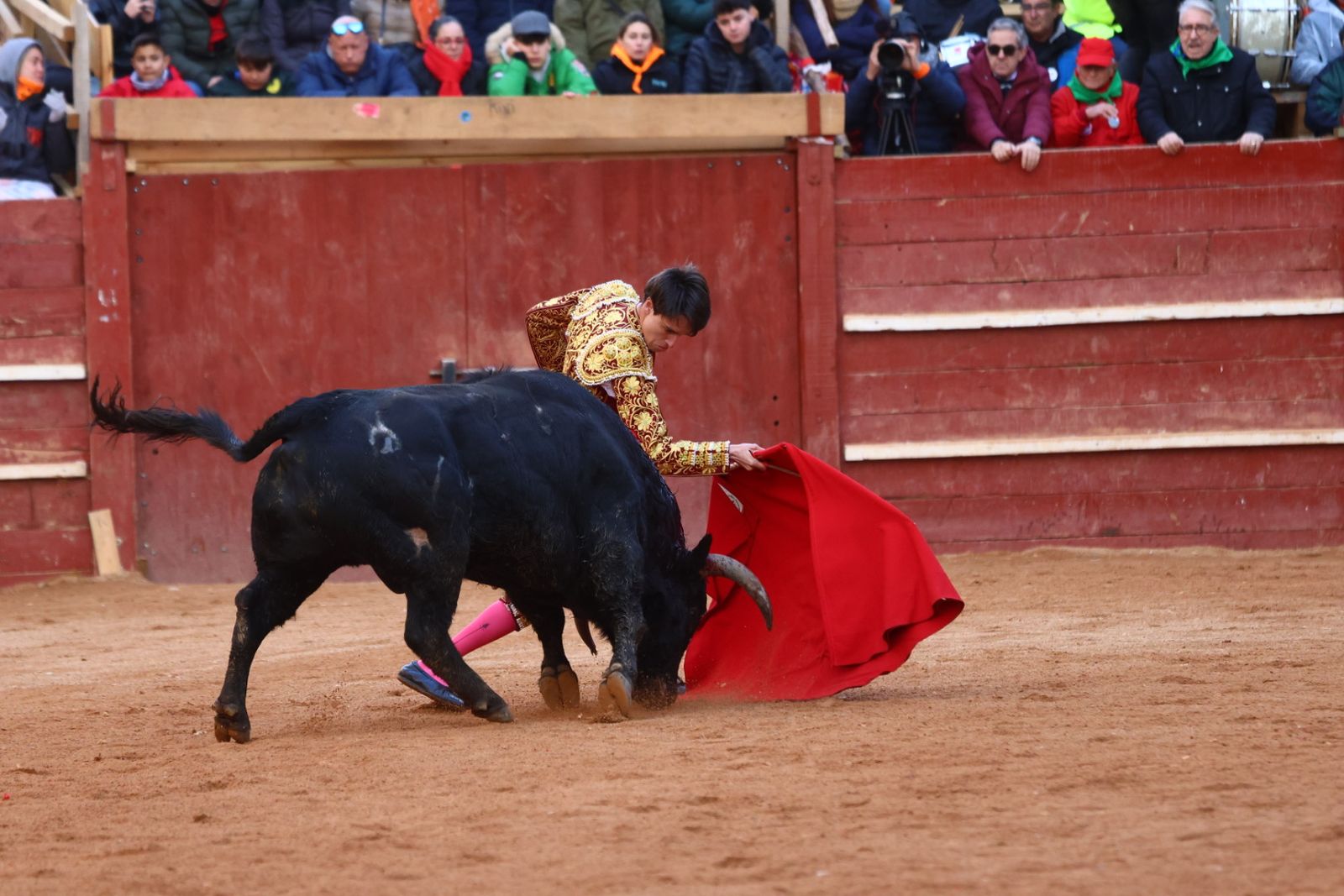 Novillada con picadores de lunes en el Carnaval del Toro de Ciudad Rodrigo 2026