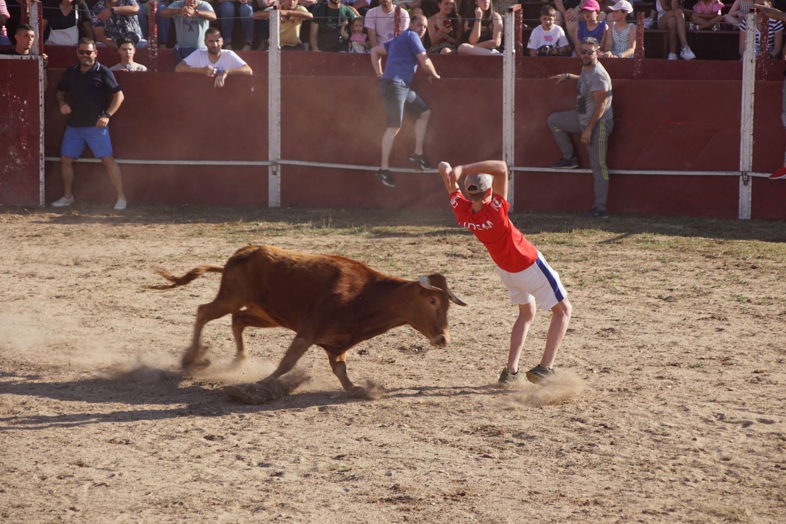 capea-fiestas-de-carrascal-de-barregas-18