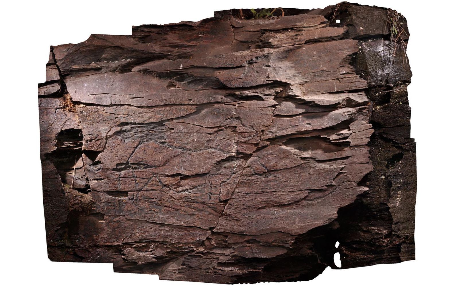 Ortoimagen del panel decorado donde se aprecian los motivos grabados en el sector 4. | Foto del estudio 