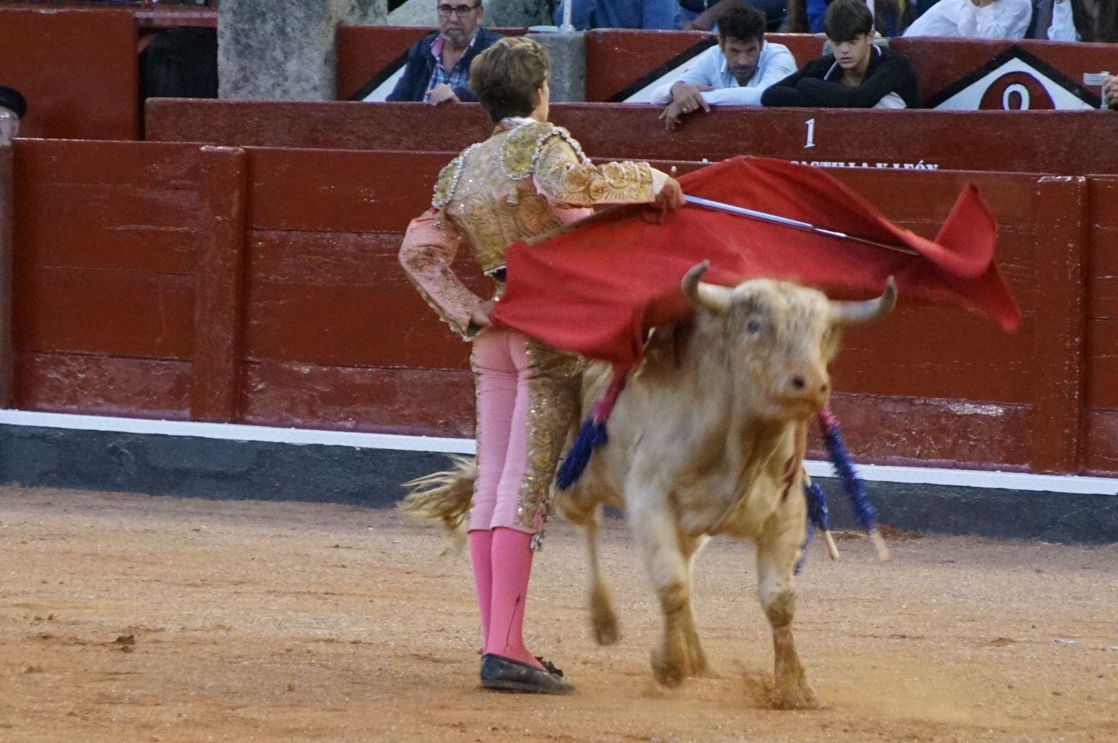 whatsapp-image-2022-09-08-at-9-22-03-pm-1