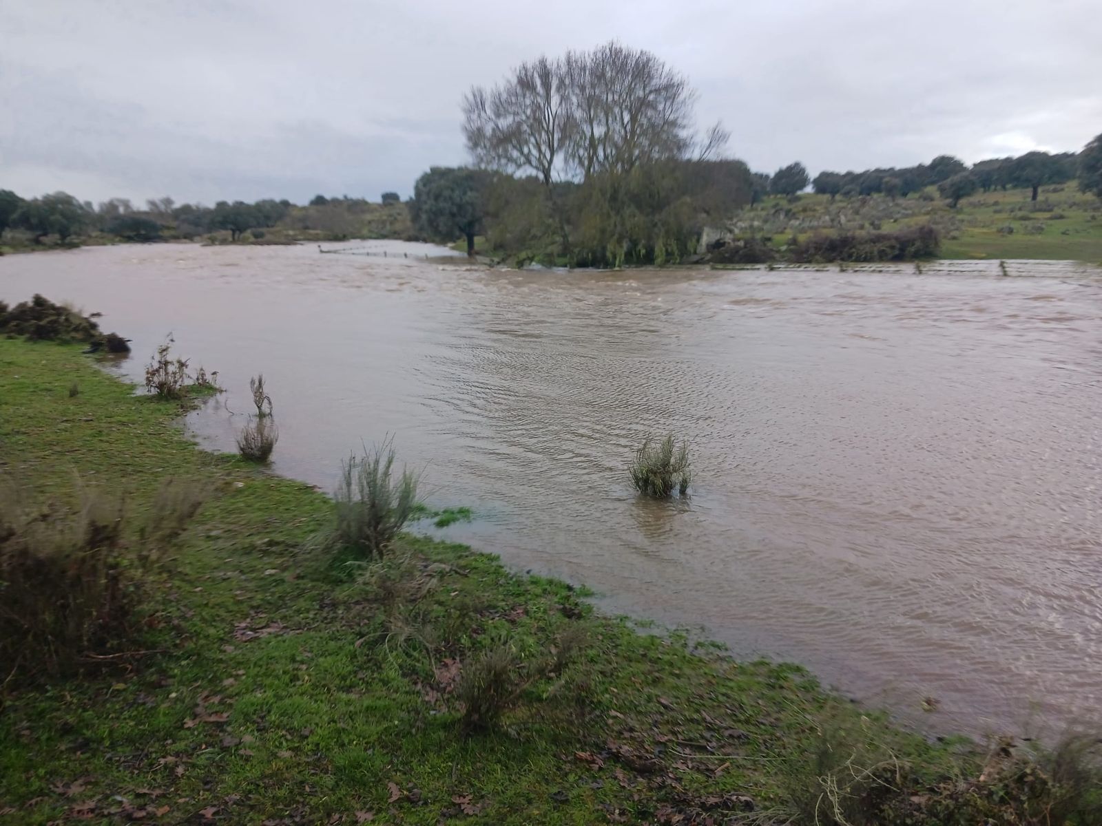 imagen-de-whatsapp-2024-01-17-a-las-18-24-08-4349771a