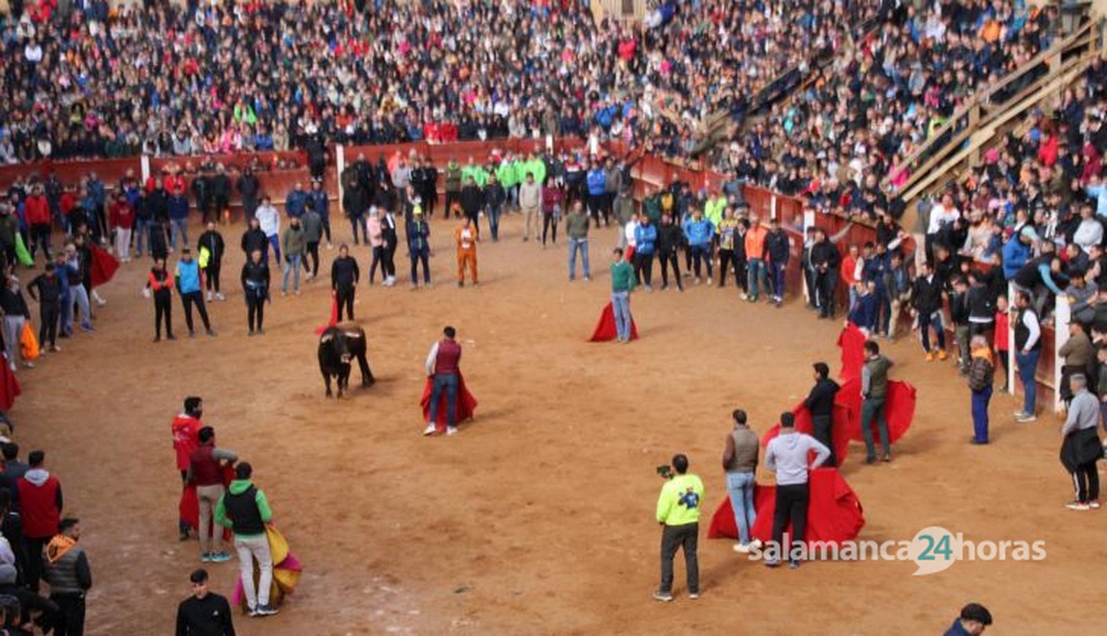Capea martes por la mañana con astados de Torrealba en el Carnaval del Toro de Ciudad Rodrigo 2025 (30) Capea martes por la mañana con astados de Torrealba en el Carnaval del Toro de Ciudad Rodrigo 2025 (30)