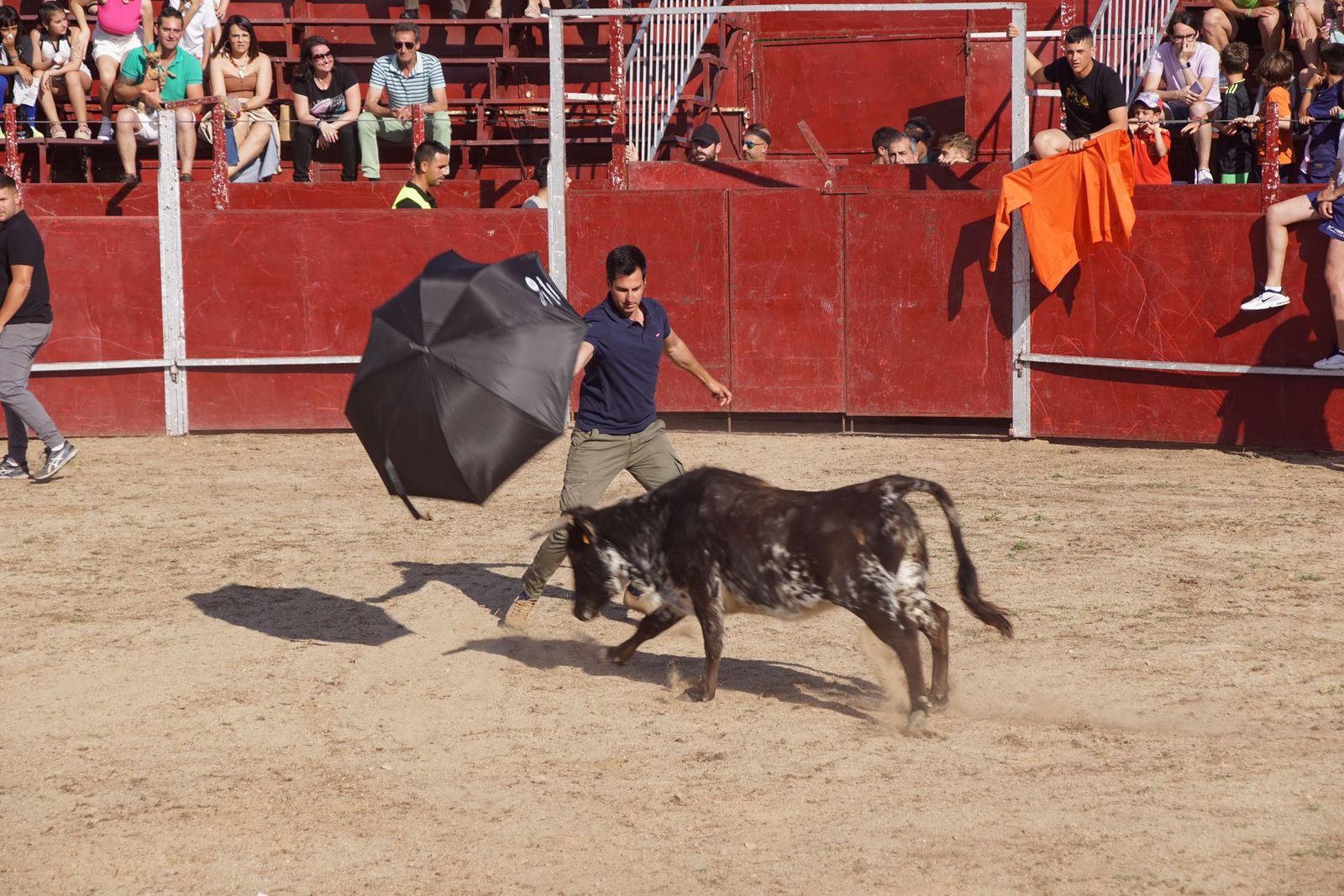 capea-fiestas-de-carrascal-de-barregas-6