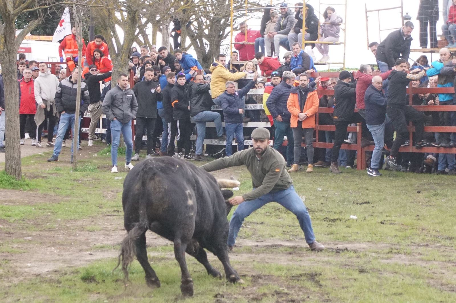 El encierro de Lunes de Carnaval en Ciudad Rodrigo en imágenes