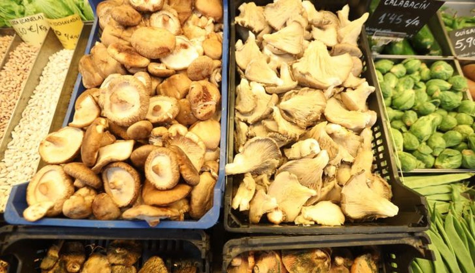 Mercado Central