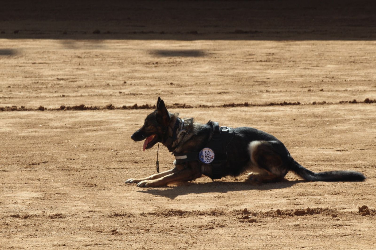 20230905122735-img-7950