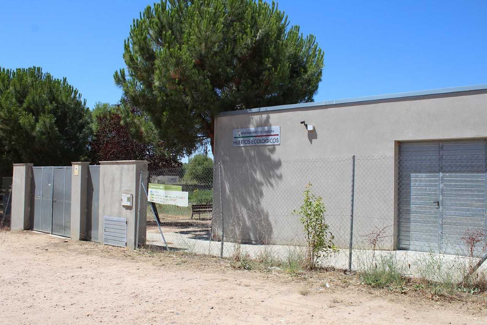 Huertos municipales 3