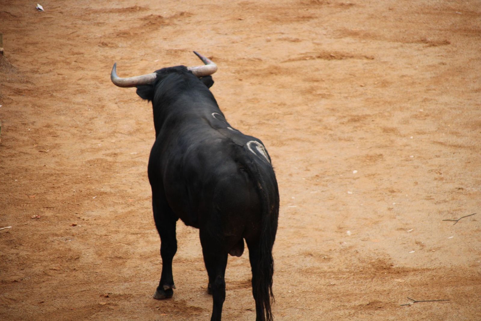 whatsapp-image-2025-03-01-at-13-18-48-1