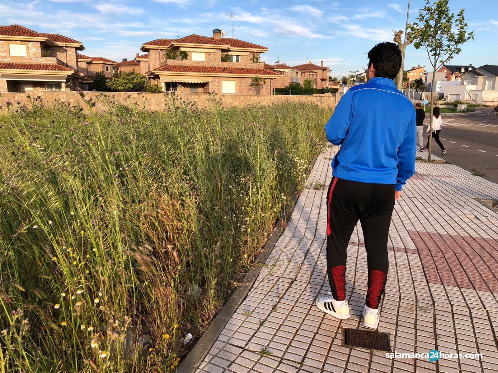 Maleza carbajosa (4)