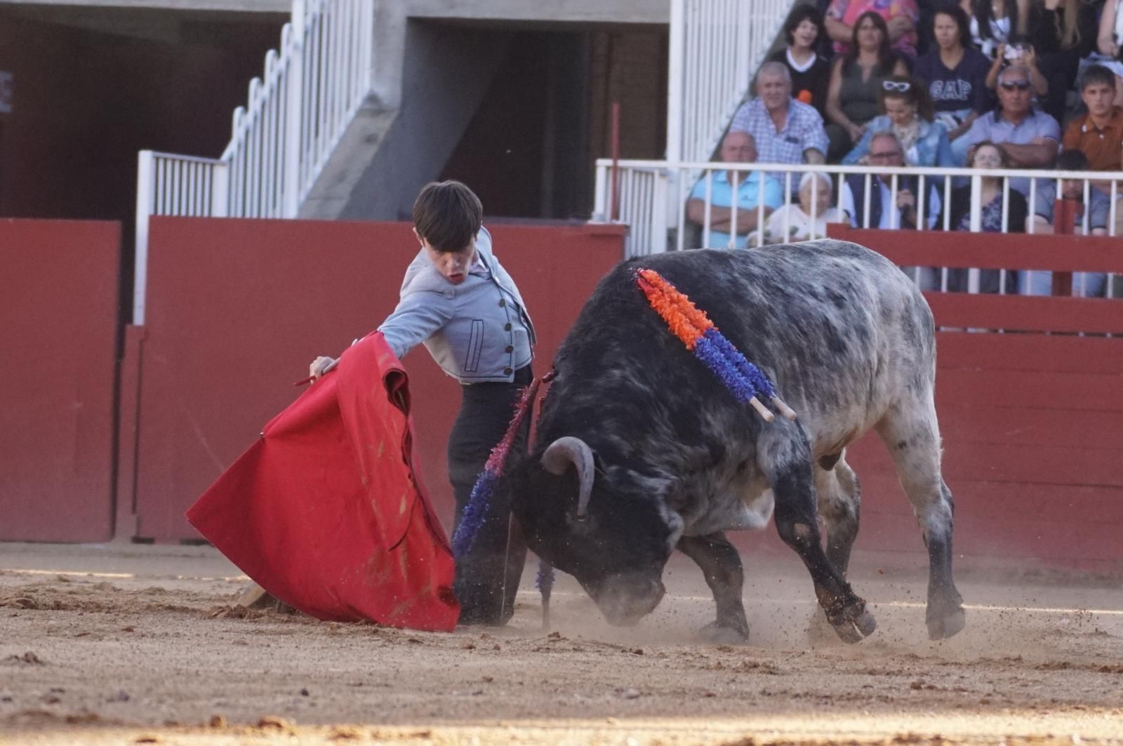 whatsapp-image-2024-09-07-at-20-48-15-1