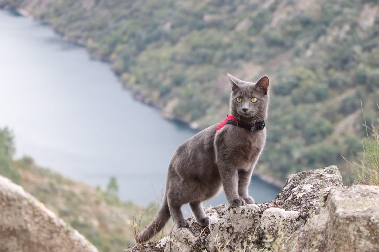 A9E04A5D 9653 4EF9 AAA1 1A0297173DCC