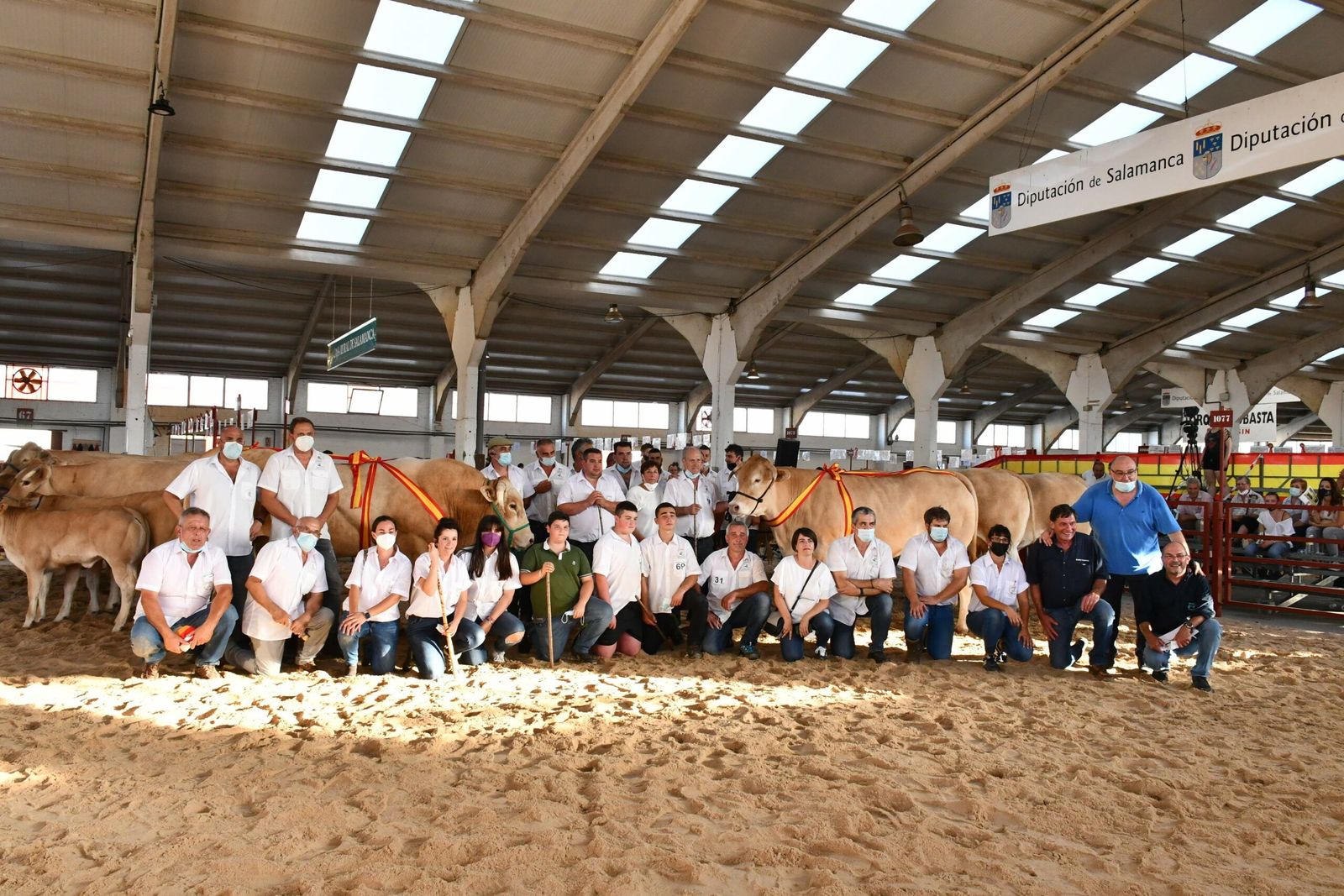 Premiados en el concurso de la raza blonde de aquitania Premiados en el concurso de la raza blonde de aquitania